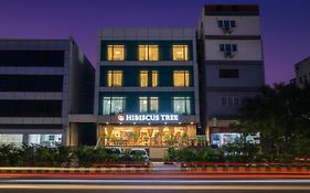 Hotel Hibiscus Tree- Bachupally